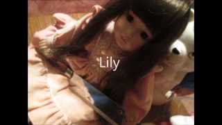 Watch Lily Trailer