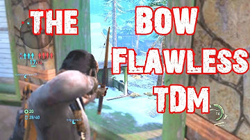 The Last of Us Bow & Arrow Flawless Supply Raid