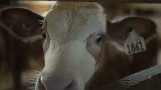 PAYS'ART 2022 Ferme Édouard Tremblay et fils