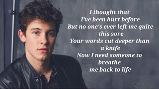 Stitches - Shawn Mendes 