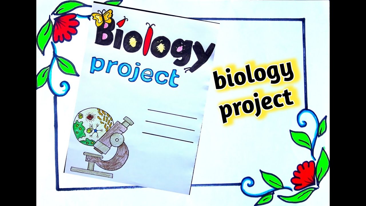 border design for biology assignment