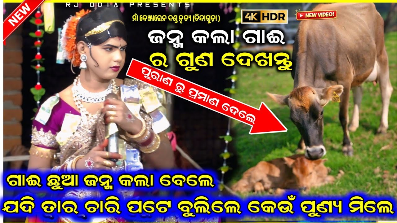 ଗାଈଛୁଆ ଜନ୍ମକଲା ବେଲେତାର ଚାରିପଟେ ବୁଲିଲେ କେଉଁପୁଣ୍ୟ ? Ramakant radha maa benjaren dandanurty chindaguda