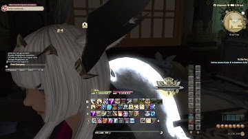 FFXIV elevator housing glitch