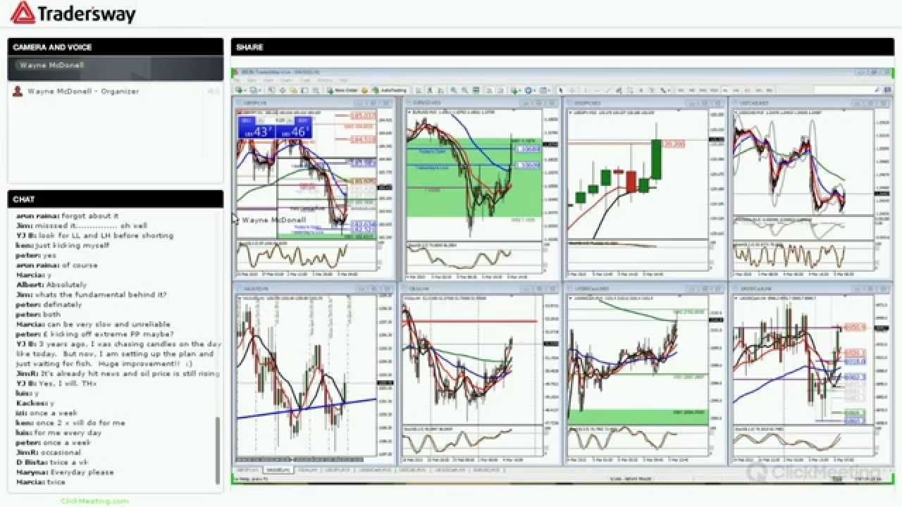 forex daily setups