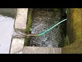 雨の日の井戸
