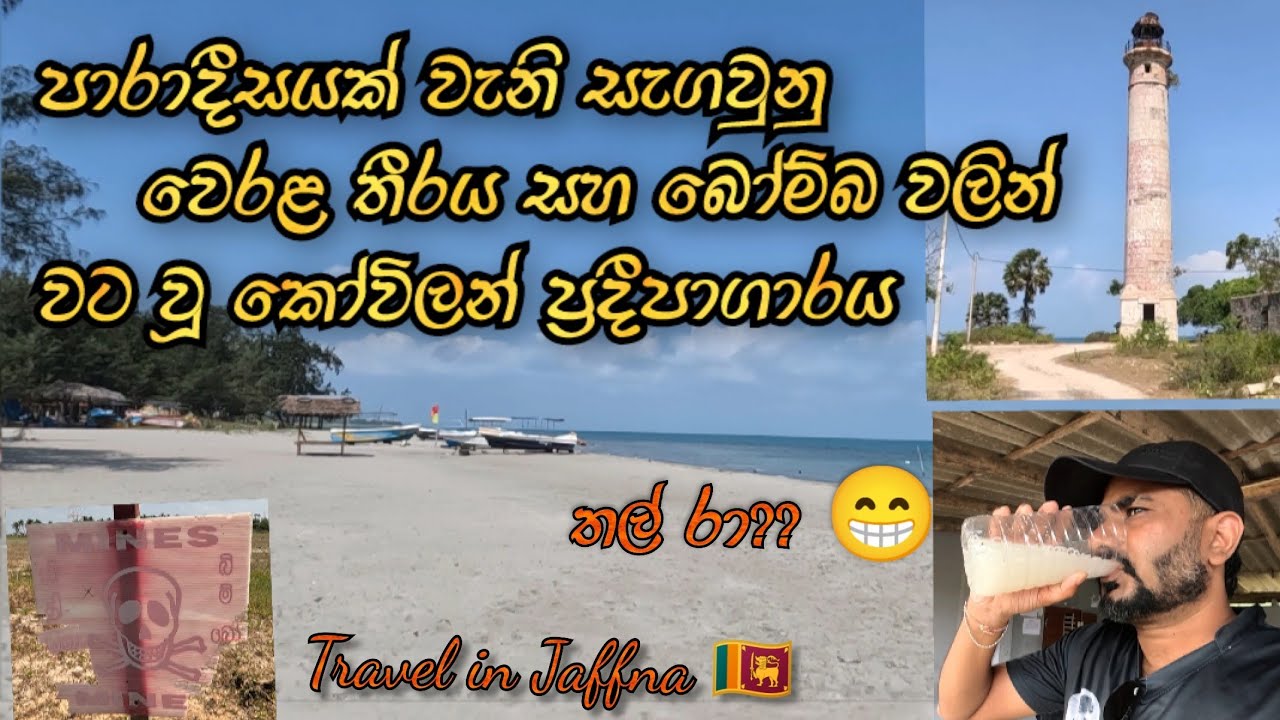      Travel in Jaffna  Sinhala  Cassurina Beach