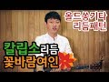 [류주석의 올드쏭기타] 칼립소리듬편 (ft.꽃바람여인) 추억의 통기타 올드송 강좌/레슨/독학/노래/연주