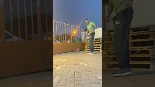 Obedience Training Guide with Boerboel Pepsi
