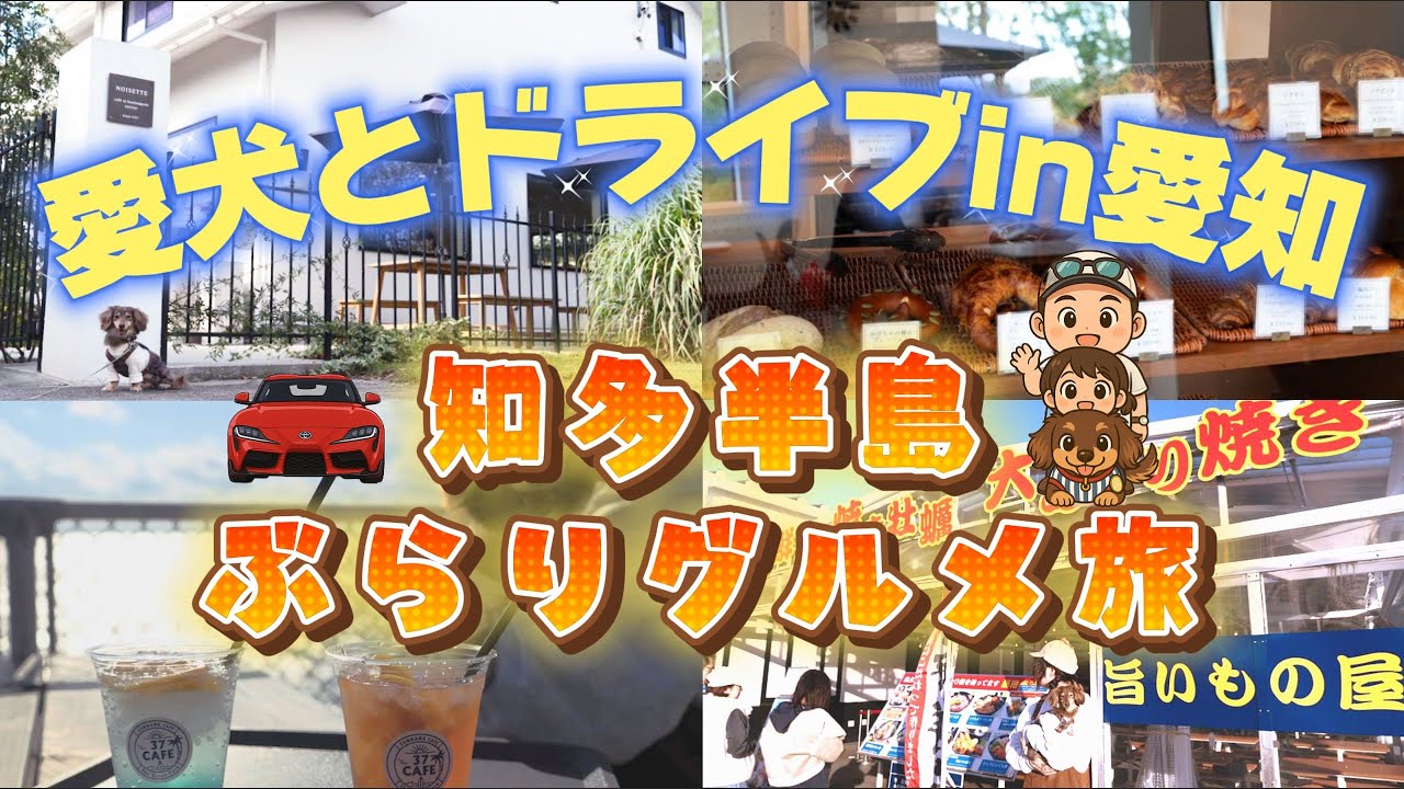 【愛犬とドライブ】in愛知県｜知多半島の海岸線をぶらりグルメ旅