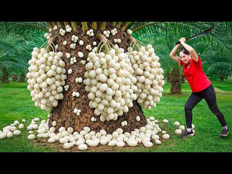 Harvest 1000+ Rare Chinaberry & Go to Market Sell | Fix vegetable garden after storm | off the grid