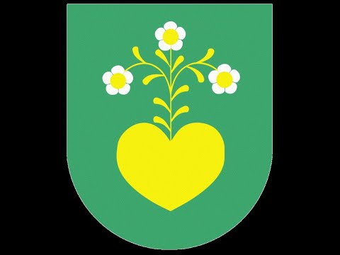 Sesja Rady Miejskiej w Radlinie w dniu 23.02.2021r. Sesja Rady Miejskiej w Radlinie w dniu 23.02.2021r.