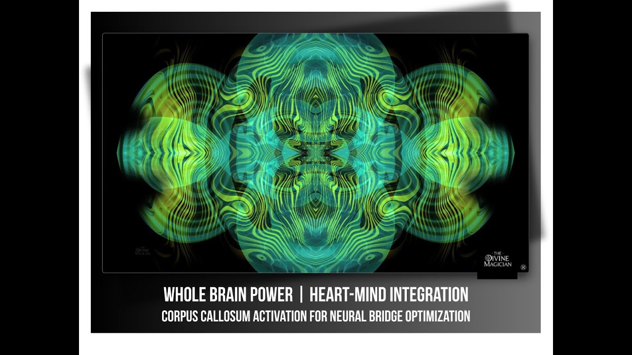 Preview Whole Brain Power | Heart-Mind Integration