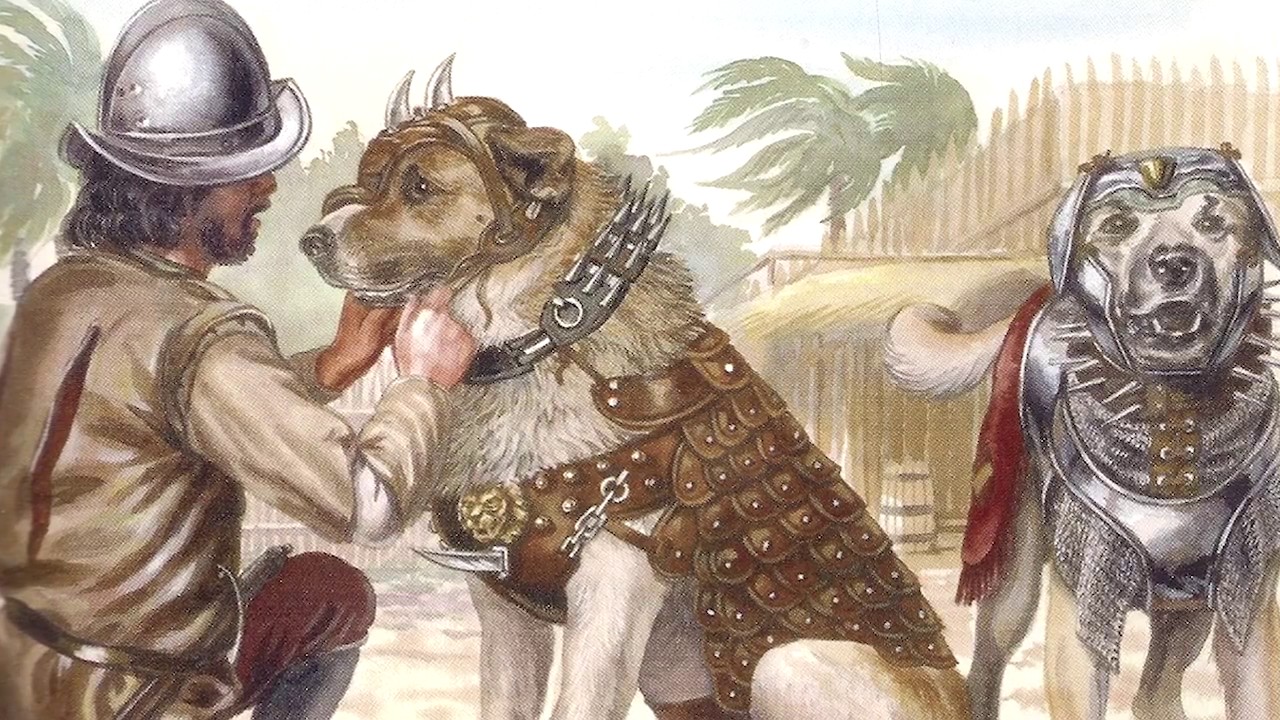 por qué los españoles usaban perros para conquista - YouTube