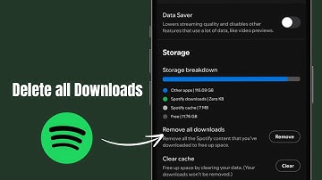 How to Delete All Downloaded Songs on Spotify at Once (iPhone, Android & PC)