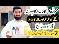 Bimar murgiyon ka ilaj  poultry markaz