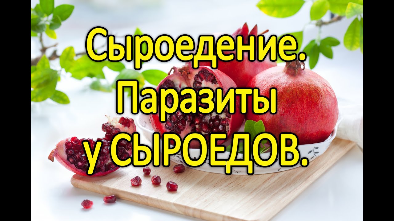 Мёд и сыроедение: есть или не есть Мёд и сыроедение: есть или не есть