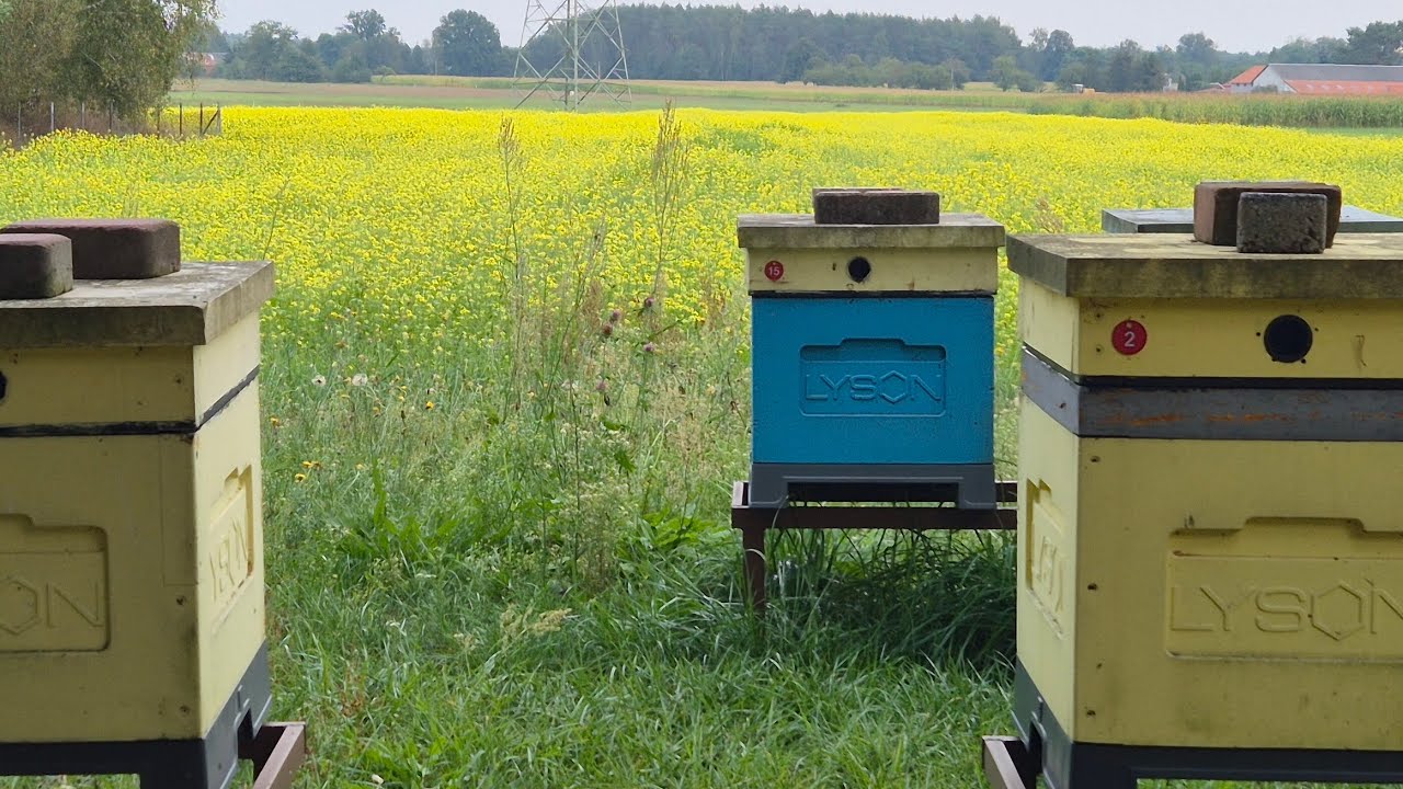 Kończę zakarmianie na zimę 