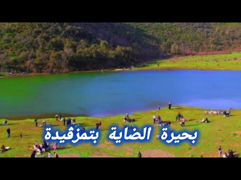 بحيرة الضاية بأعالي تمزڨيدة ولاية المدية الجزائر