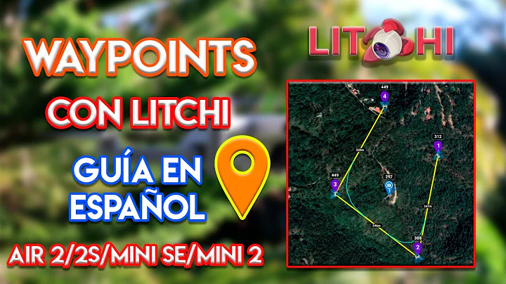 WAYPOINTS DJI AIR 2S Y MINI 2 con LITCHI | GUÍA en ESPAÑOL