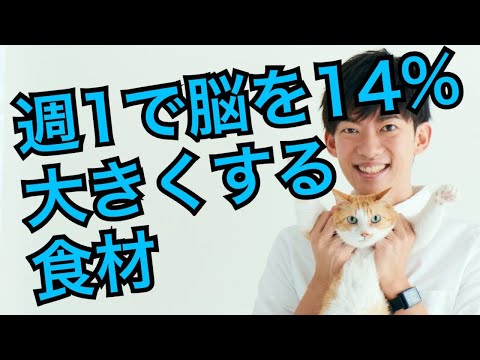 週1で食べると脳が14%大きくなる食材がこちら