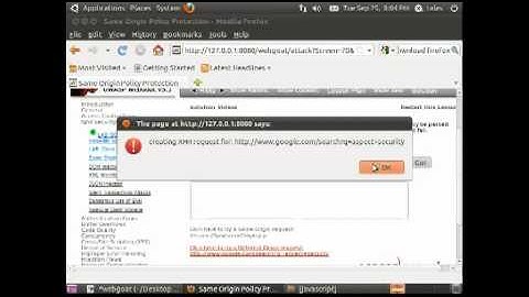 Same Origin Policy Protection