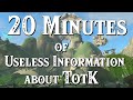20 minutes of useless information about totk