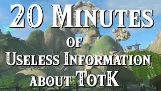 20 Minutes of Useless Information about TotK by The Tony Express 242,106 views 4 months ago 20 minutes