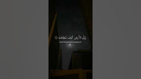 ﴿أفلا ينظرون إلى الإبل كيف خلقت﴾سورة الغاشية بصوت {عبد الرحمن مسعد} #قرآن_كريم