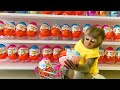 Little monkey bobo doing shopping in kinder joy eggs store and eat chocolate with the puppy