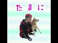 恋のはじまり/カワグチジン