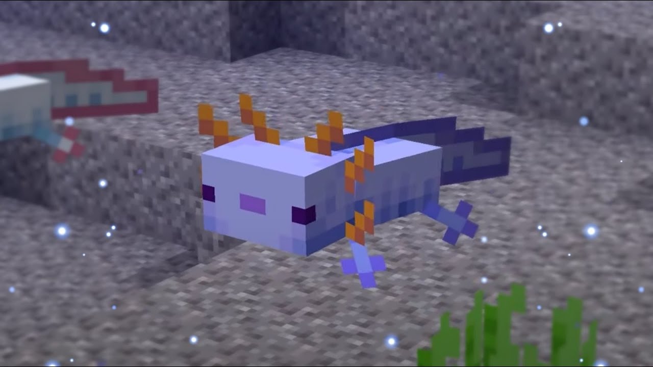 17 мобы аксолотль. аксолот в майнкрафте 1. дом аксолотль в майнкрафте. как выглядит аксолотль в майнкрафте. 17.