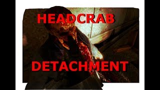 Headcrab Detachment (SFM)