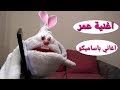 اغنية عمر رد يا سي عمر |اغاني باساميكو toddler toys