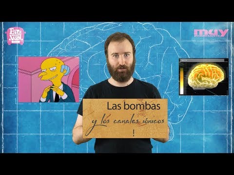 Video: ¿De qué están hechas las bombas de iones?