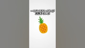 【雑学】知らなくていい雑学３選 #ai #チャットgpt#豆知識 #雑学 #shorts