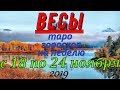 ГОРОСКОП ВЕСЫ С 18 ПО 24 НОЯБРЯ.2019