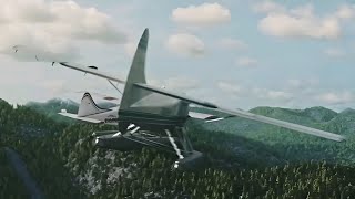 2019 Alaska Seaplanes Mid-Air Collision - Animation