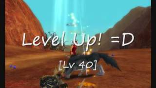 Level Up to 40 for my Wolf and Me