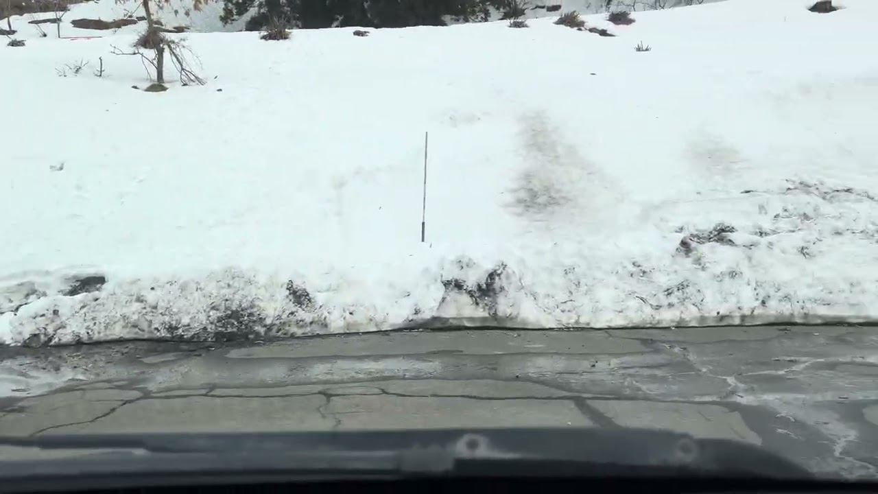 〜林道〜碇高原総合牧場〜スイス村〜
