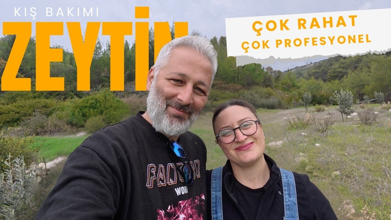 Zeytinlikte Kış Bakımı Başladı 🌿 Don Öncesi Kritik Hazırlıklar!