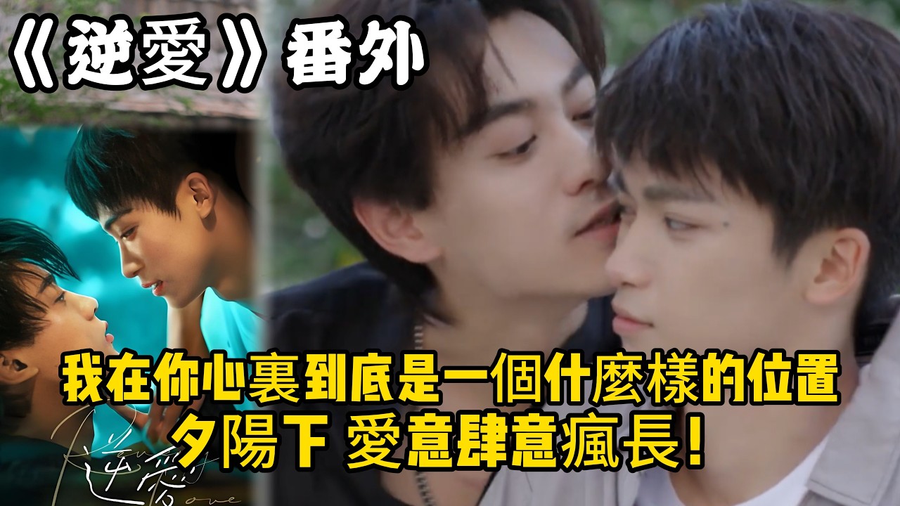 《逆愛》：番外！（30）我在你心裏到底是一個什麼樣的位置，你不是剛剛坐我旁邊的那個小孩兒，夕陽下，愛意肆意瘋長！#田栩宁 #梓渝 #吴所畏 #池骋 #逆爱 #revenged