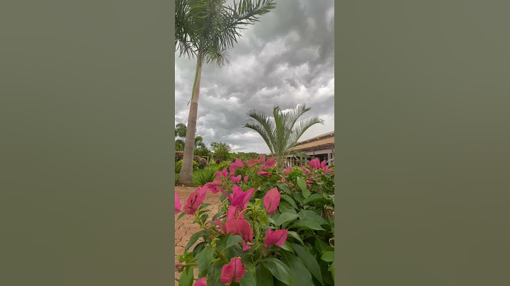 Tempestade na roça??? Veja isso 😱 Fran Adorno