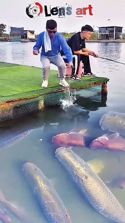 Orang ini membuktikan, mancing ikan besar tidak perlu menggunakan umpan. #fish #fishing #shorts