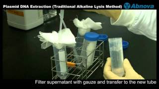Plasmid DNA Extraction (Traditional Alkaline Lysis Method)