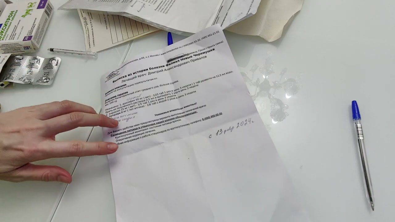 ОТИТ У КРЫСЫ ,ЛЕЧЕНИЕ #отит #лечениекрысы