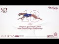 نهائي بطولة سباق السلوقي مرمي 2025 نهائي بطولة سباق السلوقي مرمي 2025