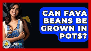 Can Fava Beans Be Grown In Pots? - LearnToDIY360.com