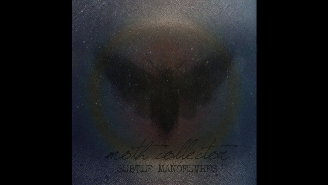 Moth Collector - Beauty of Imperfection