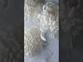 pouring water on a white flower