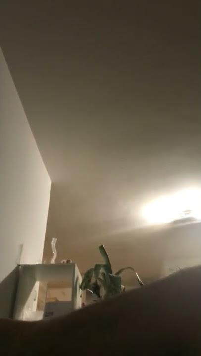 https://m.youtube.com/watch?v=2Vv-BfVoq4g